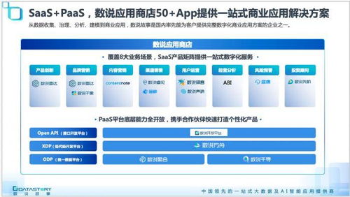 科學家創業 幫寶潔、伊利們用數據說故事的數據處理服務